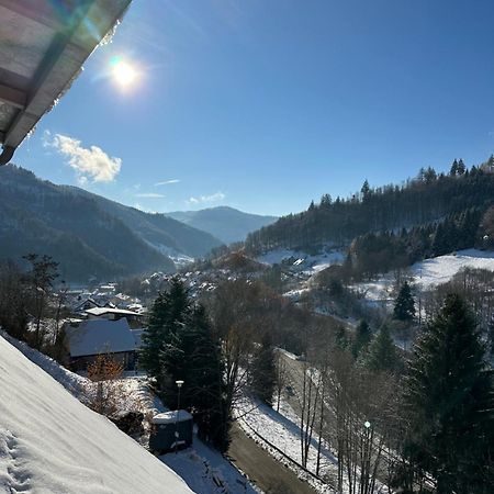 Bollenlodge - Ferienwohnung Mit Ausblick Und Top Lage Todtnau Exterior photo