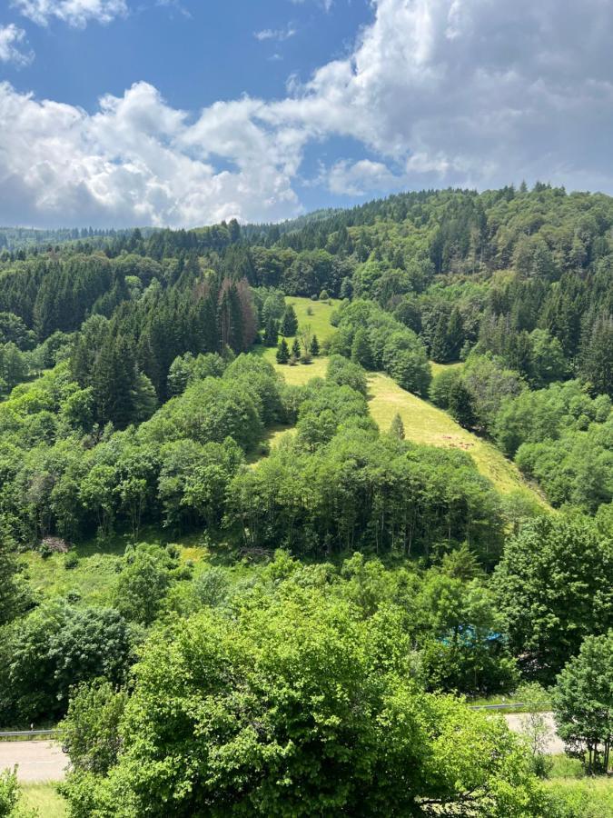 Bollenlodge - Ferienwohnung Mit Ausblick Und Top Lage Todtnau Exterior photo
