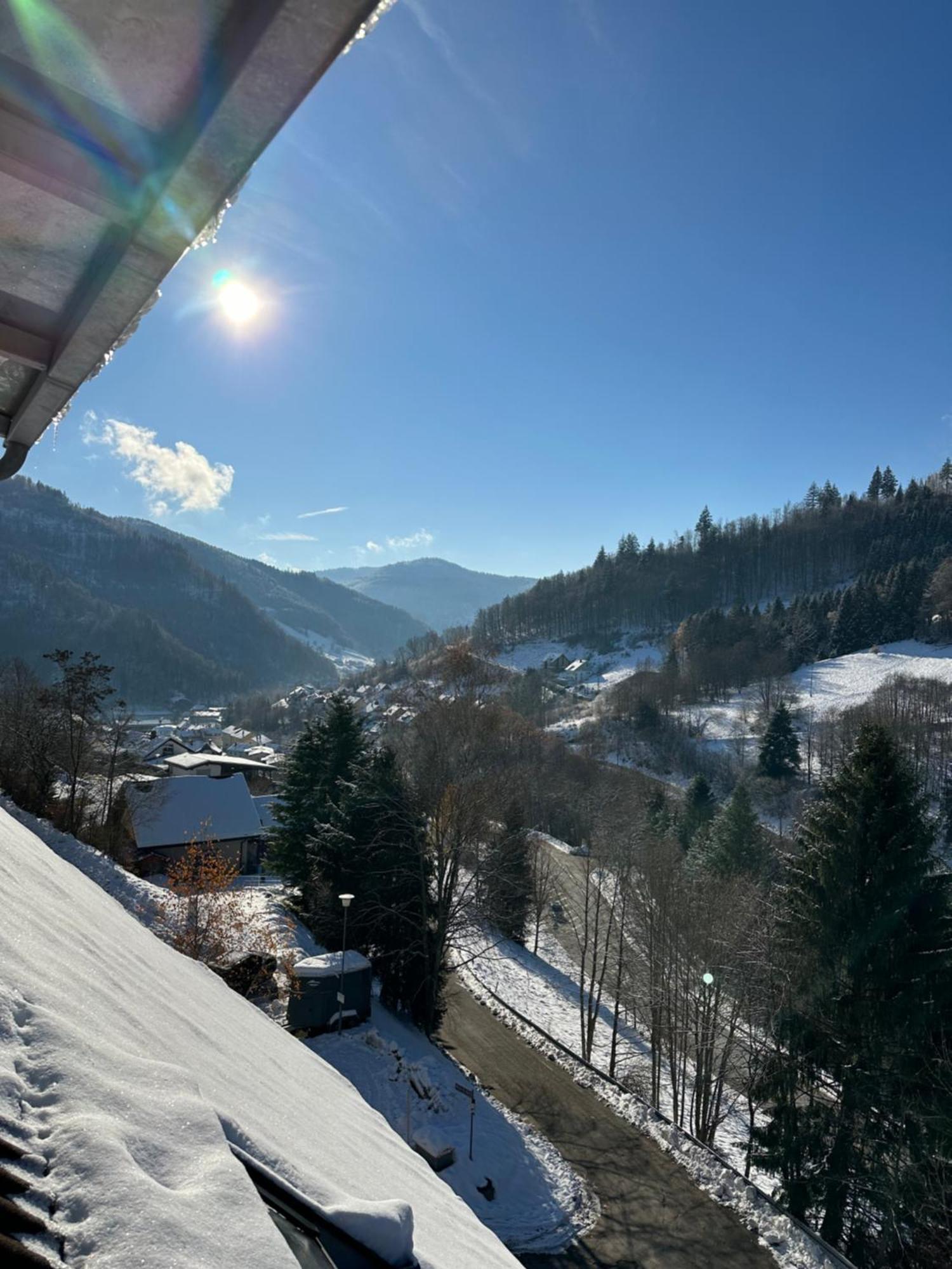 Bollenlodge - Ferienwohnung Mit Ausblick Und Top Lage Todtnau Exterior photo